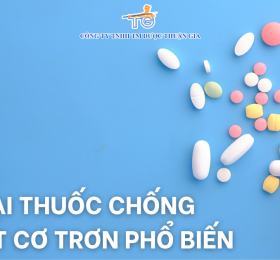 CÁC LOẠI THUỐC CHỐNG CO THẮT CƠ TRƠN PHỔ BIẾN
