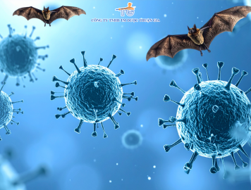 VIRUS NIPAH - NGUỒN CƠN LÂY BỆNH VÀ CÁC PHƯƠNG PHÁP PHÒNG NGỪA